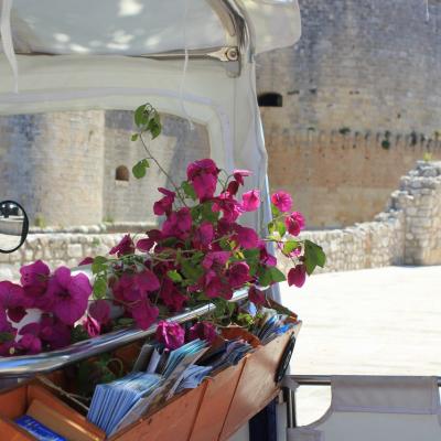 Otranto Trouring 7